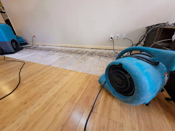 Professional Water Removal technician working in Middletown, KY